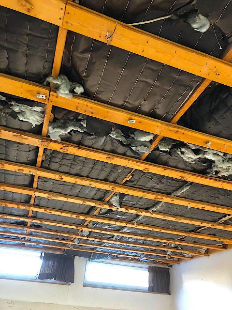 belastete Dämmung Rückbau Hamburg Entsorgung